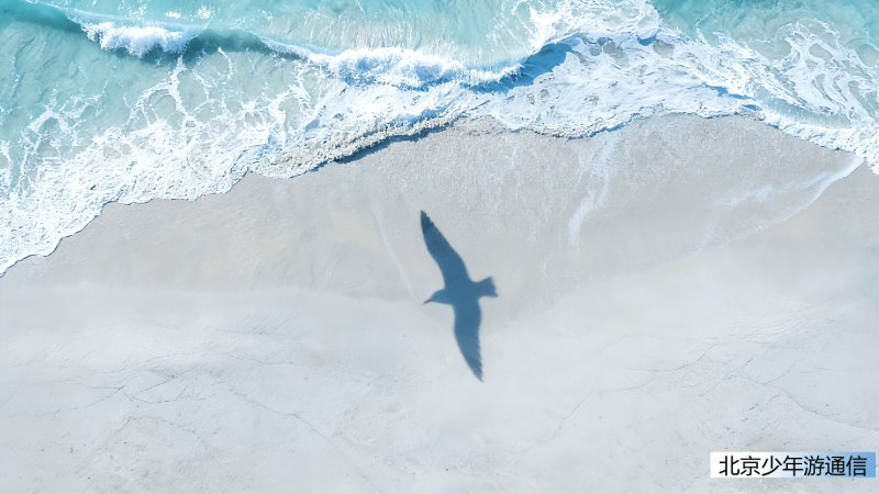 少年游愿景 - 开阔天空海面